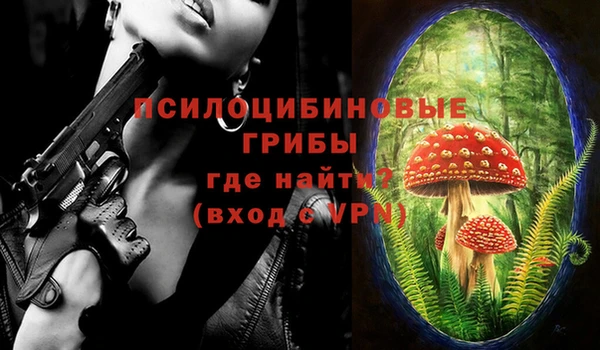 первитин Осинники