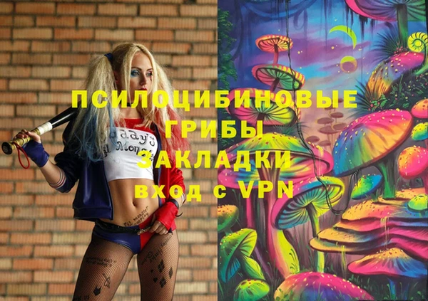 PSILOCYBIN Осташков