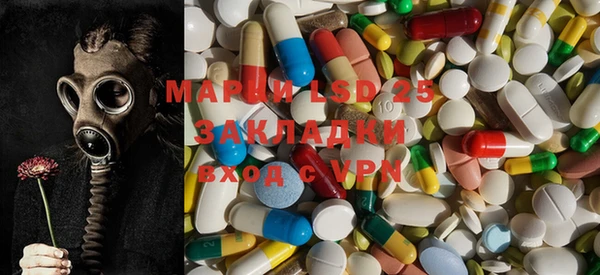 PSILOCYBIN Осташков