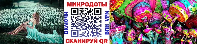 Галлюциногенные грибы MAGIC MUSHROOMS  наркотики  Североморск 