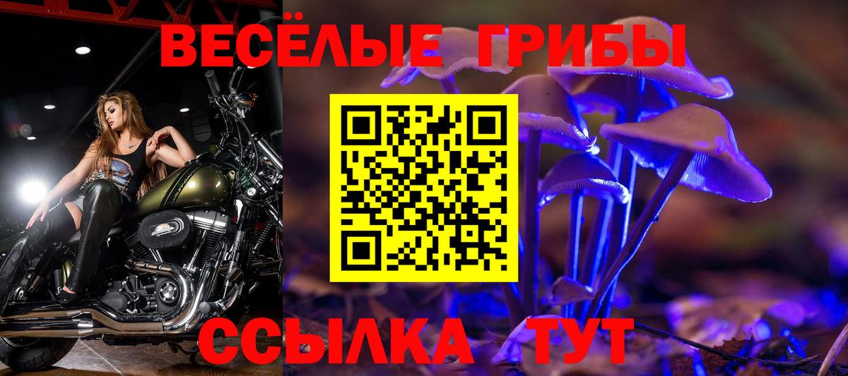 Североморск  Галлюциногенные грибы Psilocybine cubensis  Галлюциногенные грибы MAGIC MUSHROOMS  Вход с VPN 